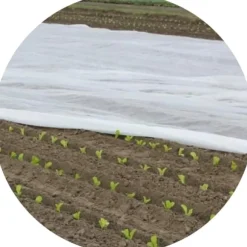 Bradas agrotextil 320x1000cm 17 g/m² AWW1732010