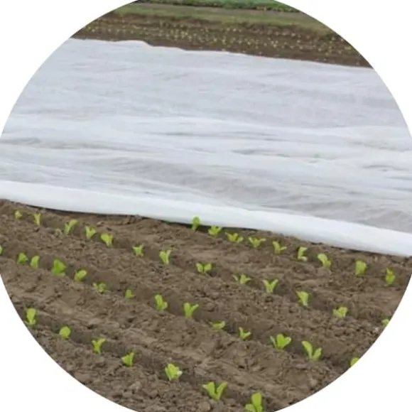 Bradas agrotextil 320x1000cm 17 g/m² AWW1732010