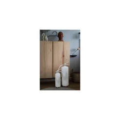 Brandsläckare NEXA 2kg Palmblad vit 13A