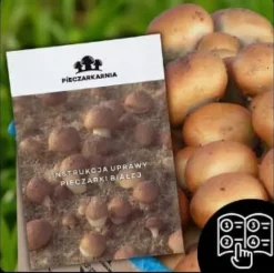 Brun svampmycelium 30 kg stort odlingskit Instruktioner + Gratis