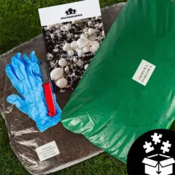 Brun svampmycelium 30 kg stort odlingskit Instruktioner + Gratis