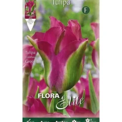 BULB AUTUNNALI TULIPANO GREEN LOVE FÖRPACKNING MED 7 BULBER BULBER BULBER