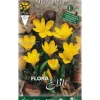 BULBERT AUTUNNALE STERNBERGIA LUTEA FÖRPACKNING MED 5 BULBER