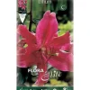 BULBSPRING LILIUM ORIENTAL RÖD FÖRPACKNING MED 2 BULBER