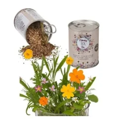 Burk med ängsblomsfrön för plantering