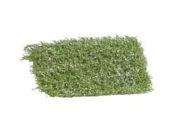 Busch 3595 Buske blommande 35 mm Vit