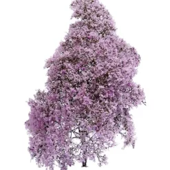 Busch 3587 Buske Vår Lila, Blommig