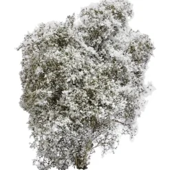 Busch 3585 Buske Vår Vit, Blommig