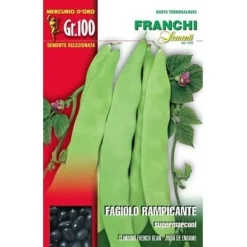 BUSTA HALVFRÖ AV KLÄTTRANDE BÖNA SUPERMARCONI 100 GR TRÄDGÅRDENS FRÖN