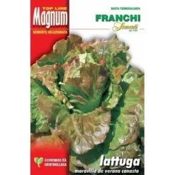 BUSTA MAGNUM SEMEN AV LATTUGA CANASTA TRÄDGÅRDSSEMINER