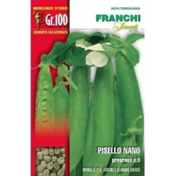 BUSTA SEMEN AV PERSILJA NANO PROGRESS N.9 100 GR TRÄDGÅRDEN SEMEN