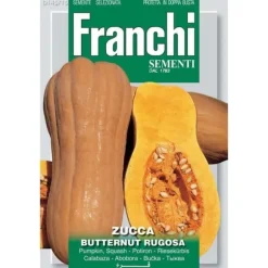 BUSTINA MED Butternut-kärnor RUGOSA TRÄDGÅRDEN SEMEN