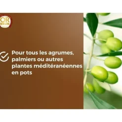Citrus- och medelhavsjord - BRUN GULD - OBRTAGR6U - 6L - Olivträd, palmer och cycas