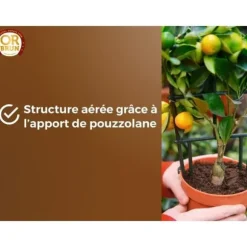 Citrusjord och medelhavsväxter - GULDBRUN - OBRTAG20N - 20 L