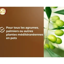 Citrusjord och medelhavsväxter - GULDBRUN - OBRTAG20N - 20 L