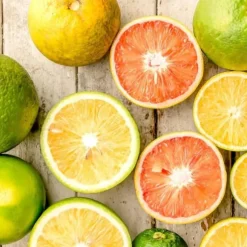 Citrusväxter - Set om 3 - Citrus limon - Höjd 25-40cm - ⌀9cm