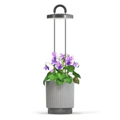 Click Grow - HydroVase - Grey
