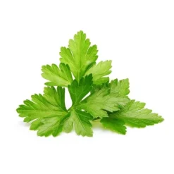 Click & Grow - Smart Garden Refill 3-pack - Koriander/Cilantro (SGR45X3)