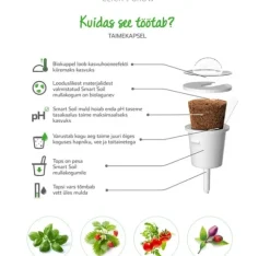 Click & Grow Smart Garden refill Busy Lizzie 3st