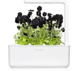 Click & Grow Smart Garden refill Svart pensé 3st