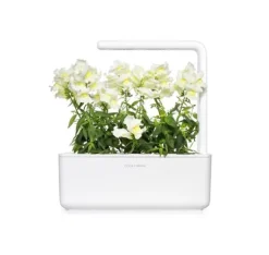 Click & Grow Smart Refill White Snapdragon 3st