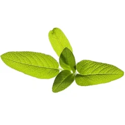 Click and Grow - Smart Garden Refill 3-pack Garden Sage