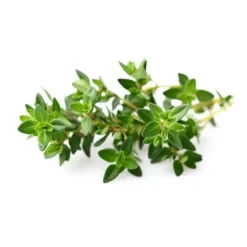 Click and Grow - Smart Garden Refill 3-pack - Thyme (SG-008)