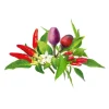 Click and Grow - Smart Garden Refill 9-pack Chili Pepper Mix