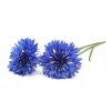 Click and Grow - Smart Garden Refill 3-pack Cornflower