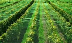 Dammnät 24 m x 8 m Hägerskydd Silonät Bladskyddsnät Fågelskyddsnät Bladnät