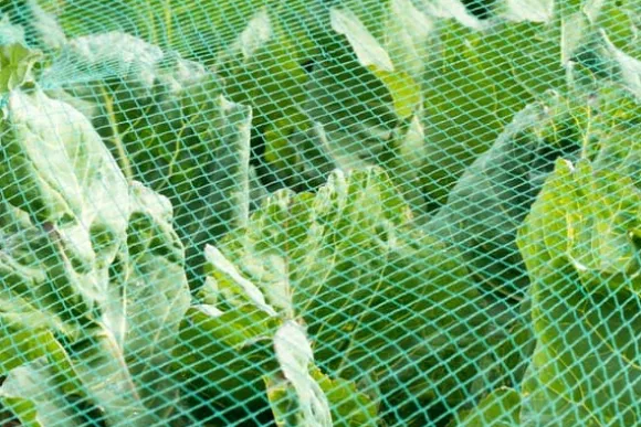 Dammnät 22 m x 12 m Lövnät Silonät Lövskyddsnät Fågelskyddsnät Dammskydd