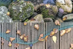 Dammnät 19 m x 10 m Lövnät Täcknät Silonet robust