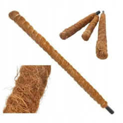 Dekorativt växtstöd för kokosnöt, Eco 120 cm