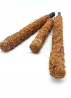 Dekorativt växtstöd för kokosnöt, Eco 120 cm