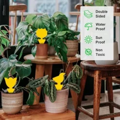 12-delade klibbiga fällor för svampmyggor, fruktflugor, vita flugor och husflugor, lämpliga för inomhus-/utomhusbruk, kök och växter, exklusivt lim, | CDON