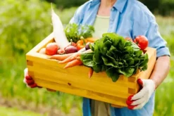 DOLOMIT Kalcium-Magnesium Gödselpulver 10 kg BIOVITA