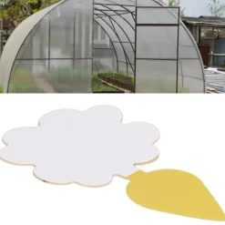 Drfeify Fruit Flugfällor 50st Fungus Gnat Killer Fånga effektivt insekter