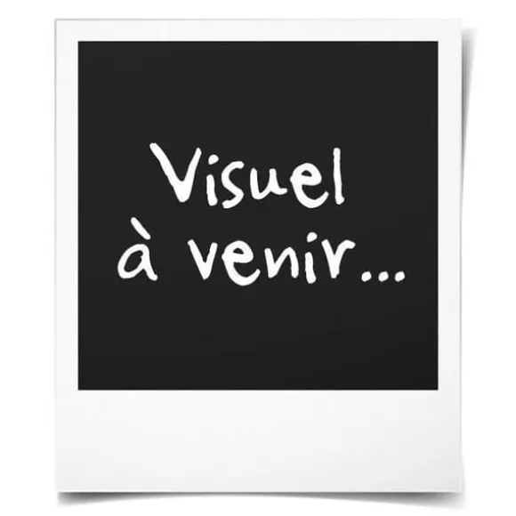 EBUY® 100-pack av lysande konstgjorda stenar Glittrande Stenar Akvarium - trädgårdsdekoration