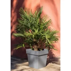 EDA Toscana fyrkantig kruka - 50 cm - 87 L - Antracitgrå