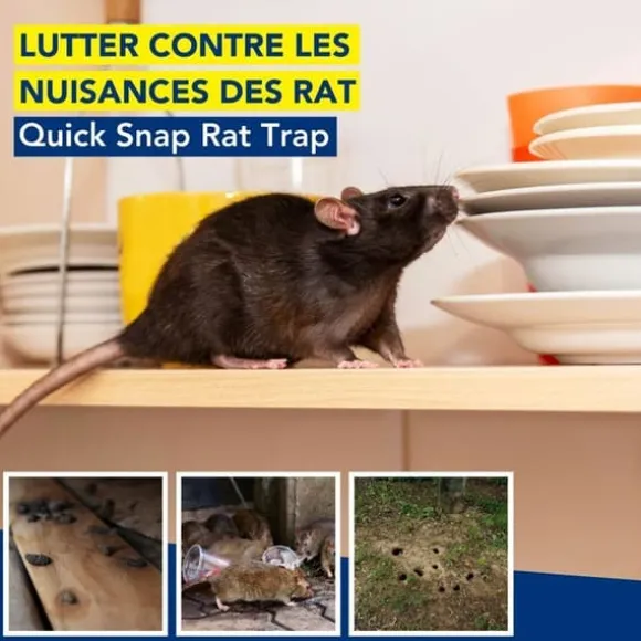 Edialux Rått- och musefälla snap pack fördelaktig - 2+1 gratis återanvändbara fällor i robust plast och galvaniserat metall