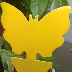 Effektiva flugfångare med klister - 100 pack