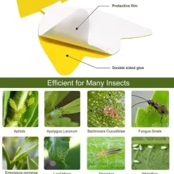 Effektiva flugfångare med klister - 100 pack