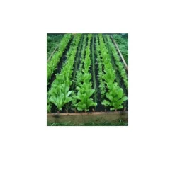 Emerald Complex flerkomponent vårgödsel för grönsaker och frukter 4 kg