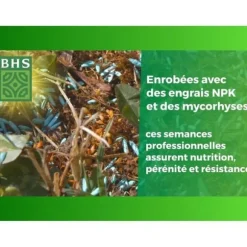 Engelsk gräsmatta - BHS - 10 kg för exklusiva trädgårdar