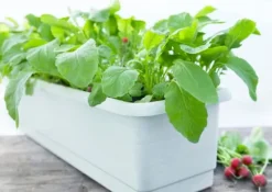 Epoque balkonglåda 60 cm långtidsbevattning