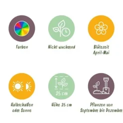 Exotisk hjärta blomlökar - Hyacint blandade färger (10 stycken) diameter 14-15cm