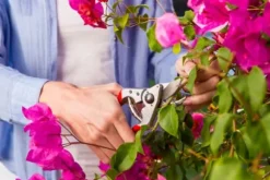 Felco 14, Bypass, Gjuten aluminium, Röd, Stål, Rostfritt stål, 1 styck