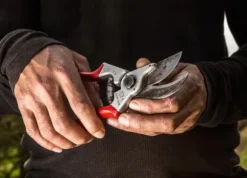 Felco 4, Städ, Gjuten aluminium, Röd, Stål, Grå, 210 mm