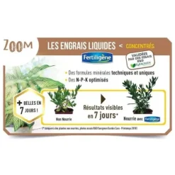 FERTILIGEN Gödselbuskar Buxbom Bambu - 400 ml