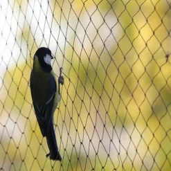 Fågelskyddsnät Trädgårdsväxtnät för trädgårdsväxter Grönsaker Frukt